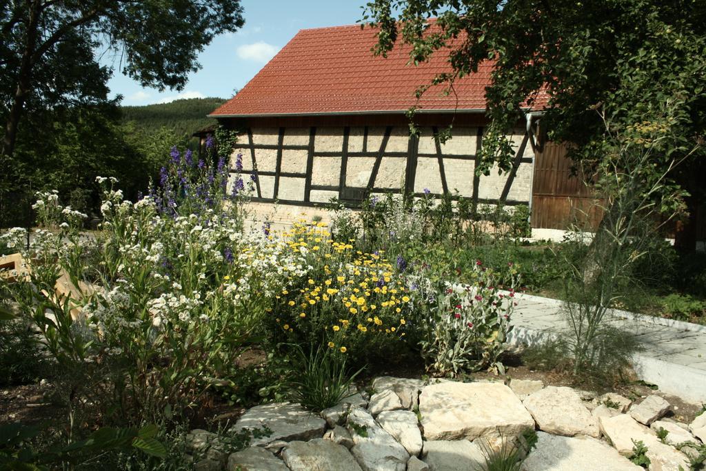 Cafe Landart Im Thueringer Finistere Plaue (Thuringia) Quarto foto