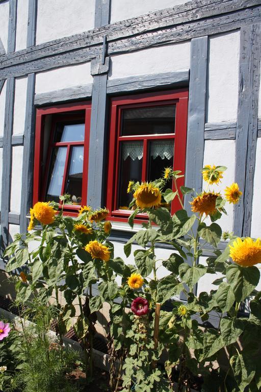 Cafe Landart Im Thueringer Finistere Plaue (Thuringia) Exterior foto